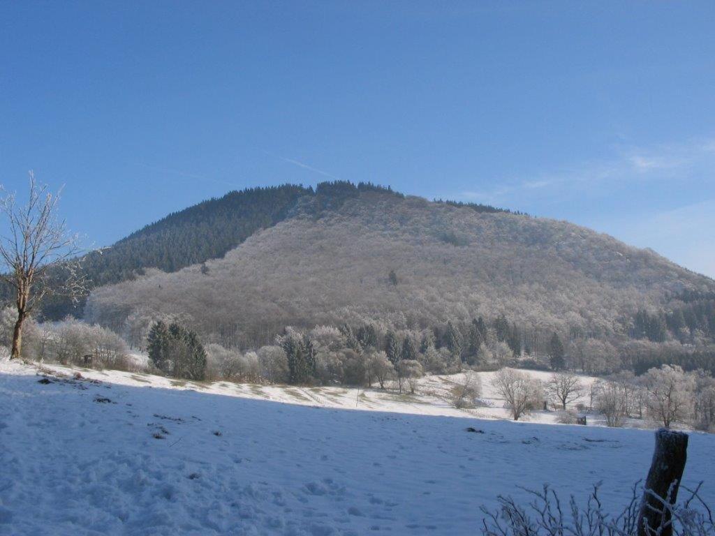 Landhotel Grimmeblick Winterberg Dış mekan fotoğraf